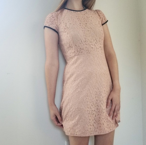 LOFT Dresses & Skirts - Loft Blush Pink lace Fitted Dress with Black Trim